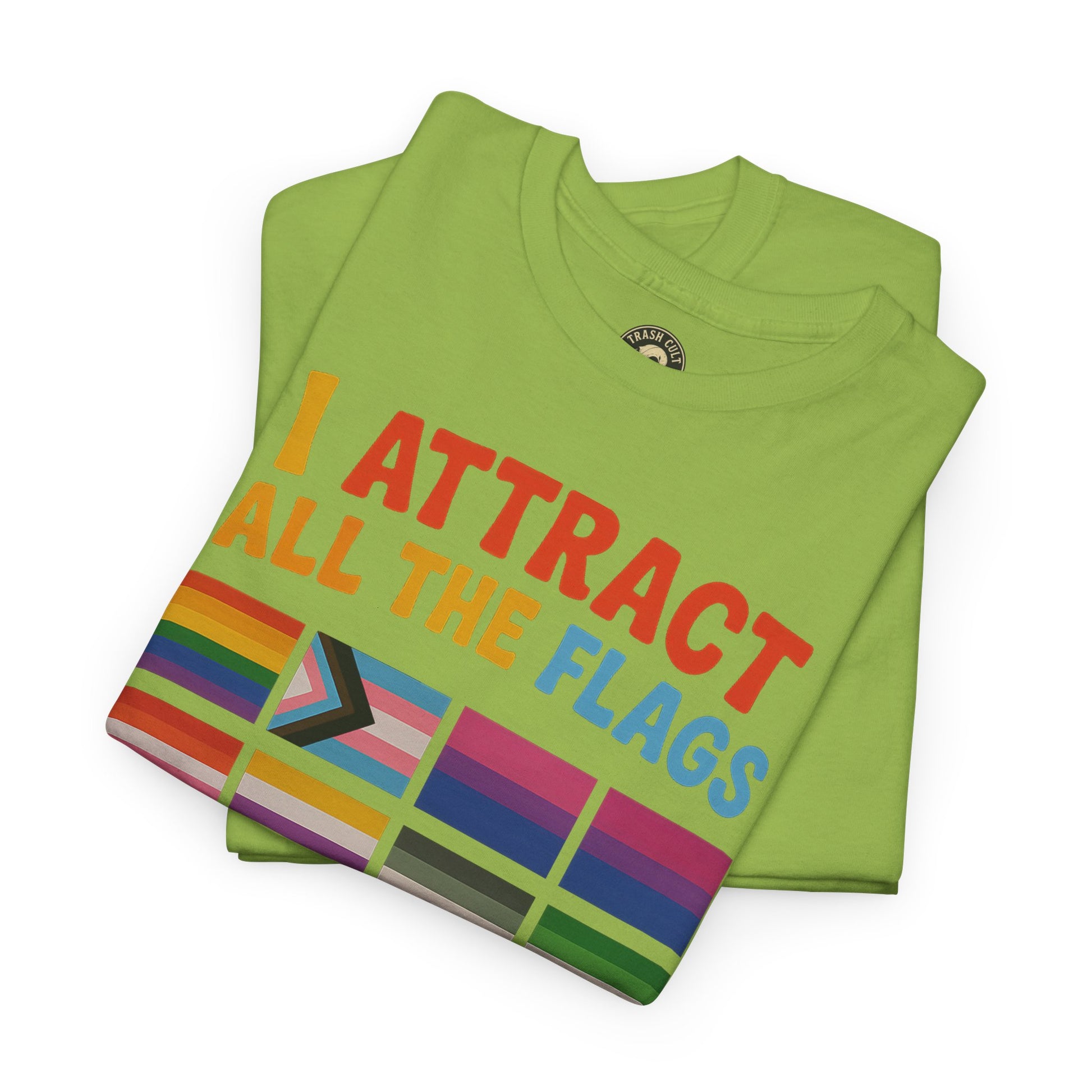 I Attract All The Flags LGBTQ Pride T-Shirt – Funny Inclusivity Shirt – Gildan 5000