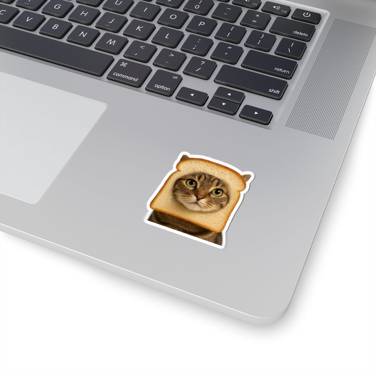 In Bread Cat Kiss Cut Sticker – Funny Realistic Cat Meme – Bread Face Kitty Decal