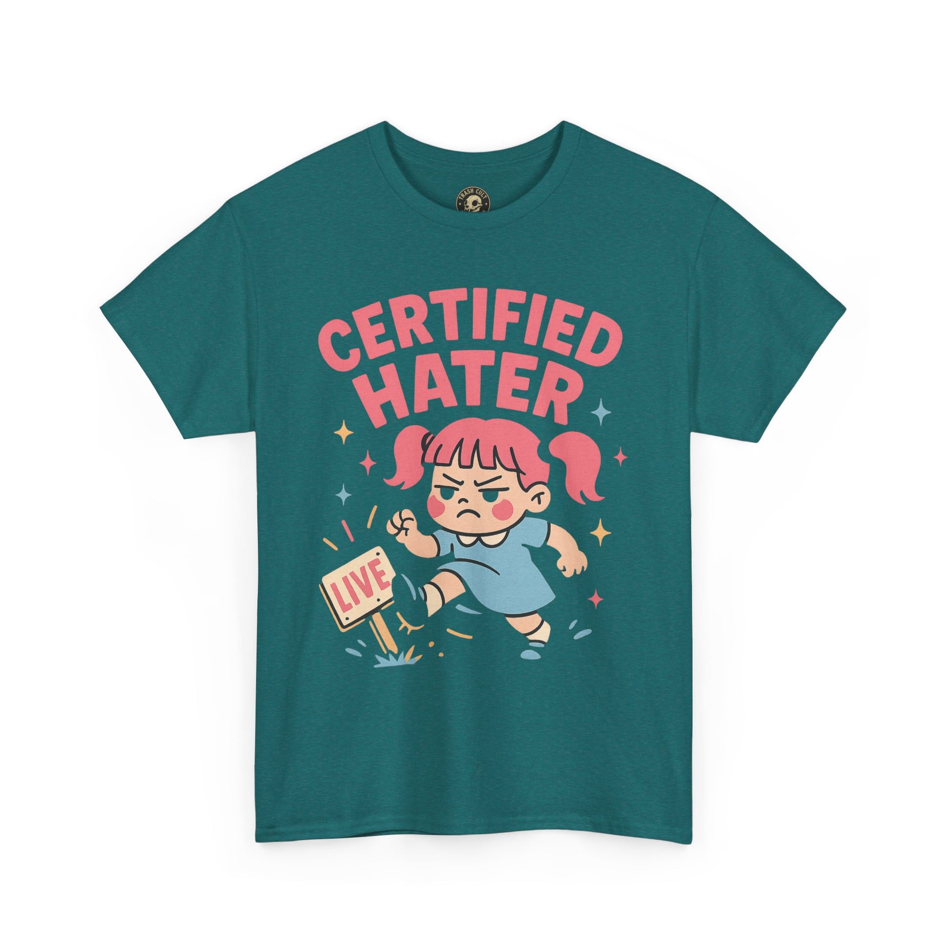 Certified Hater Unisex Heavy Cotton Tee, Funny Graphic T-Shirt, Casual Wear, Gift for Friends, Birthday Gift, Unique Humor Tee
