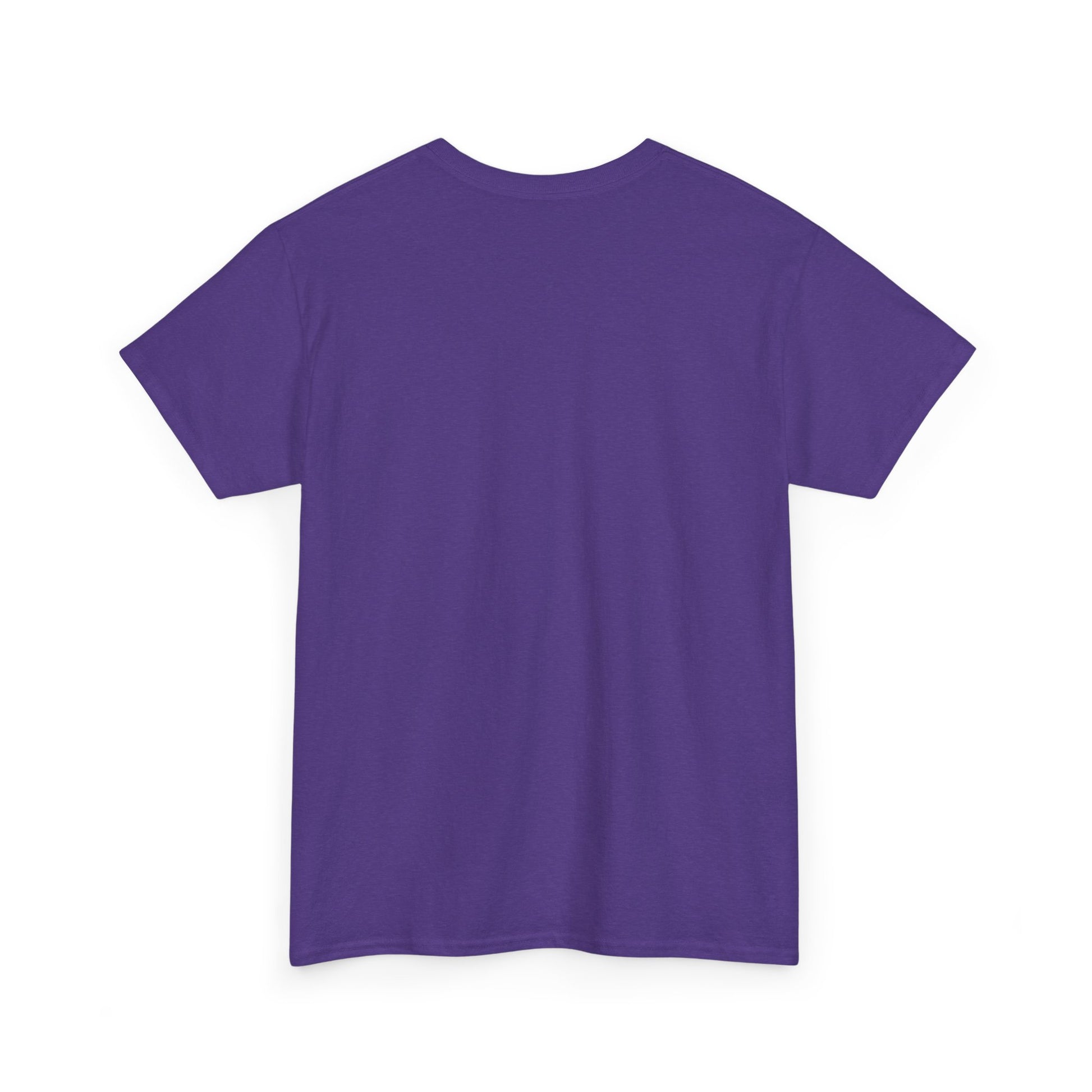 Pride “E for Everyone” T-Shirt – LGBTQ+ Inclusivity Graphic | Gildan 5000