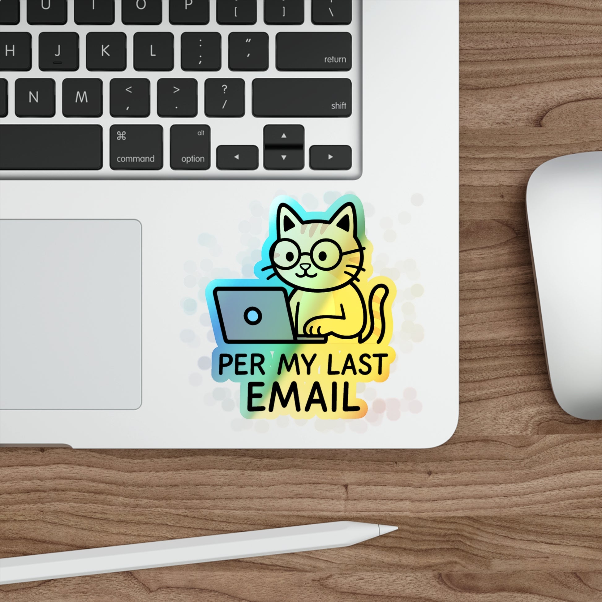 Holographic Cat Stickers, Fun Decals for Laptops, Water Bottles, Skateboards, Cute Gifts for Cat Lovers, Funny Email Stickers