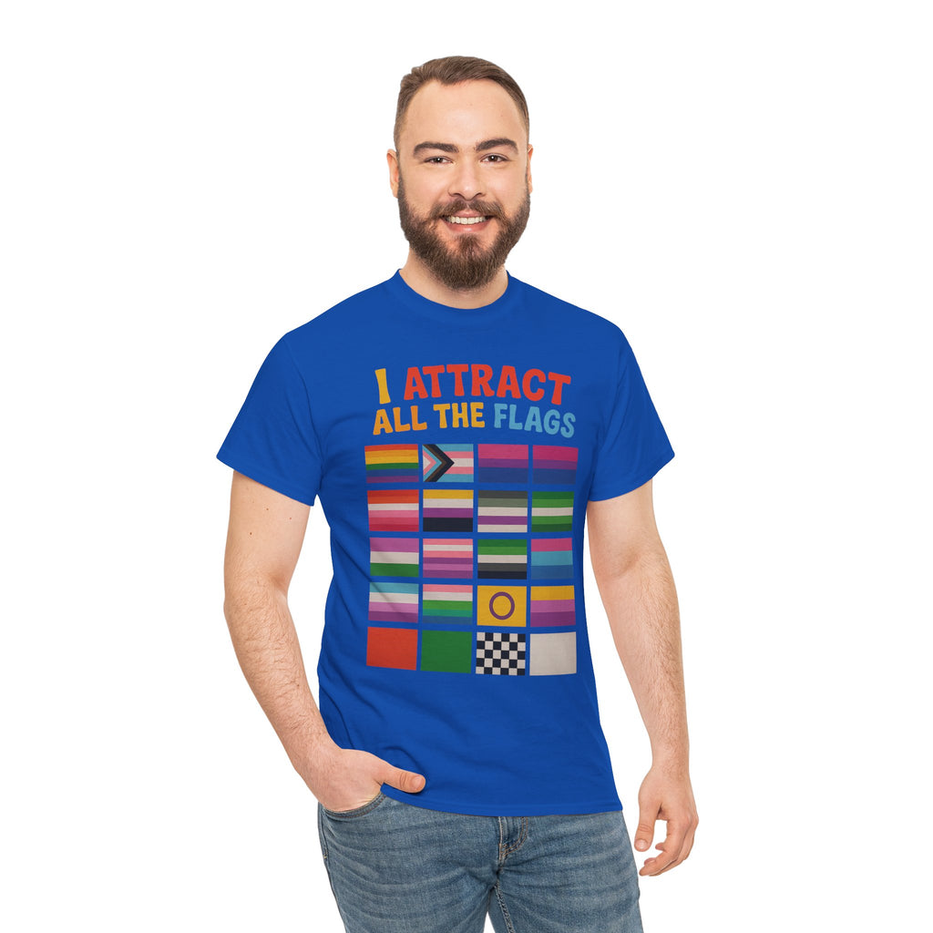 I Attract All The Flags LGBTQ Pride T-Shirt – Funny Inclusivity Shirt – Gildan 5000