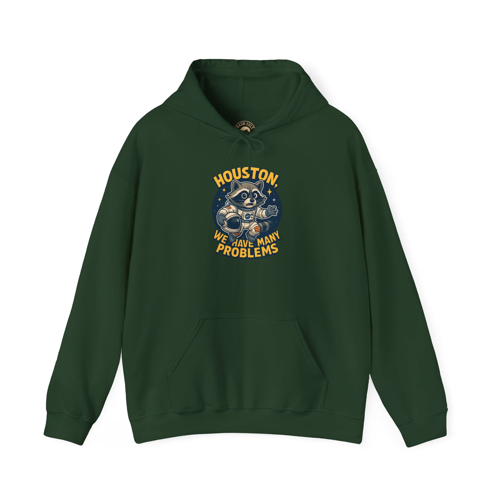 Houston Problems Hoodie, Unisex Sweatshirt, Space Lover Gift, Cozy Hoodie for Stargazing, Funny Sweatshirt for Astronaut Fans