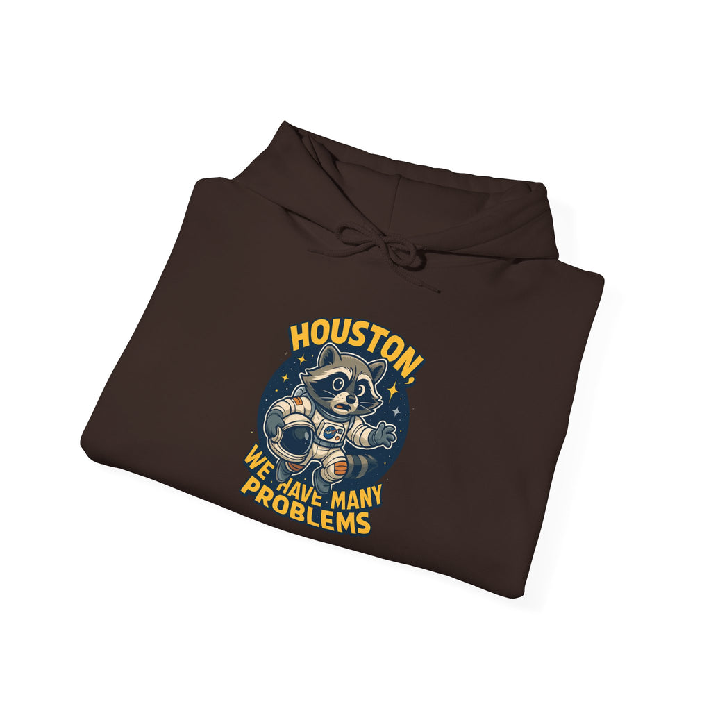 Houston Problems Hoodie, Unisex Sweatshirt, Space Lover Gift, Cozy Hoodie for Stargazing, Funny Sweatshirt for Astronaut Fans
