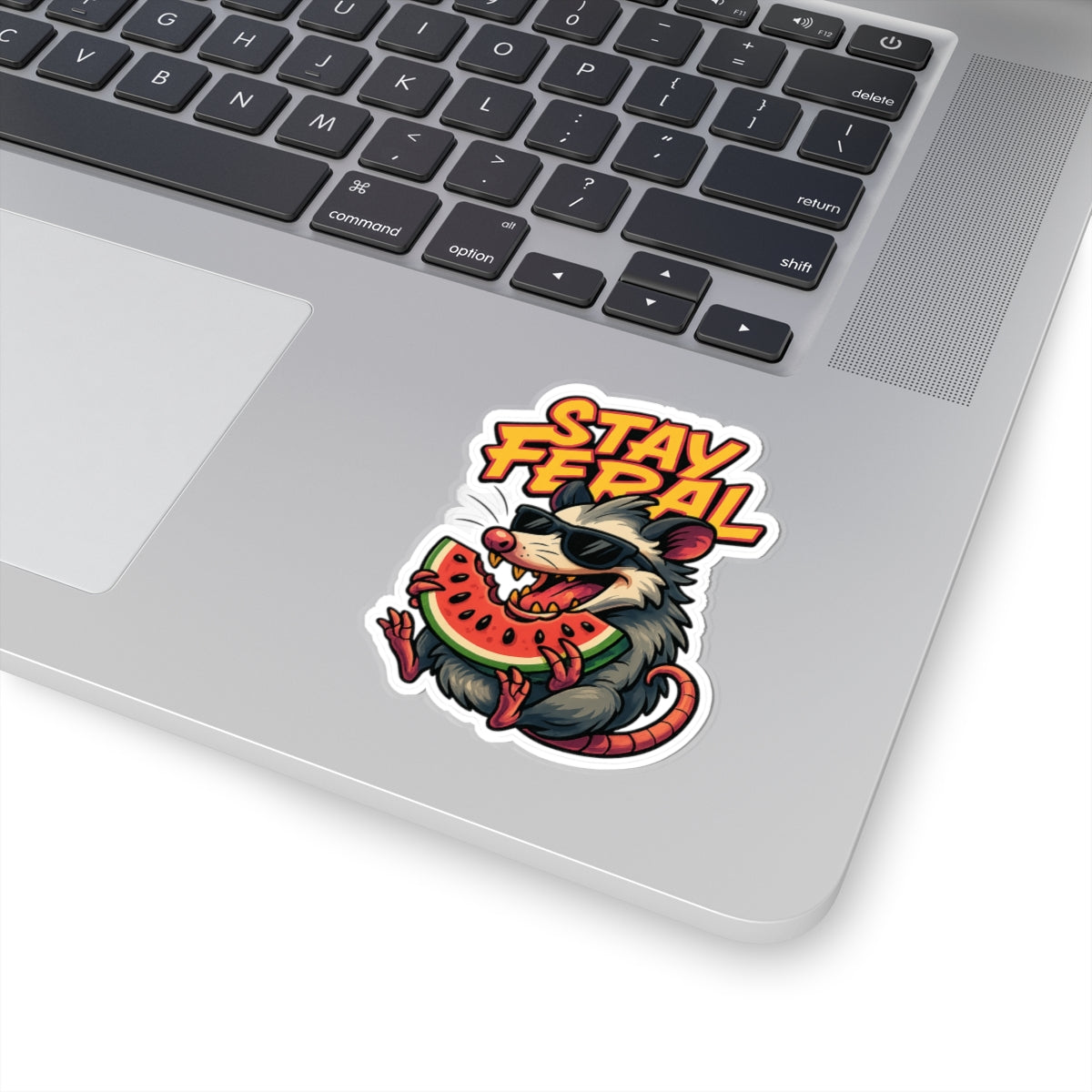 Stay Feral Possum Watermelon Sticker – Funny Summer Kiss Cut Sticker