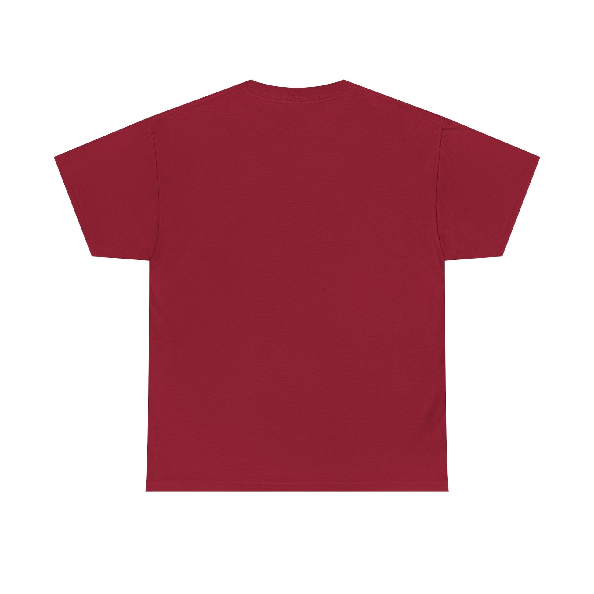 Pride “E for Everyone” T-Shirt – LGBTQ+ Inclusivity Graphic | Gildan 5000