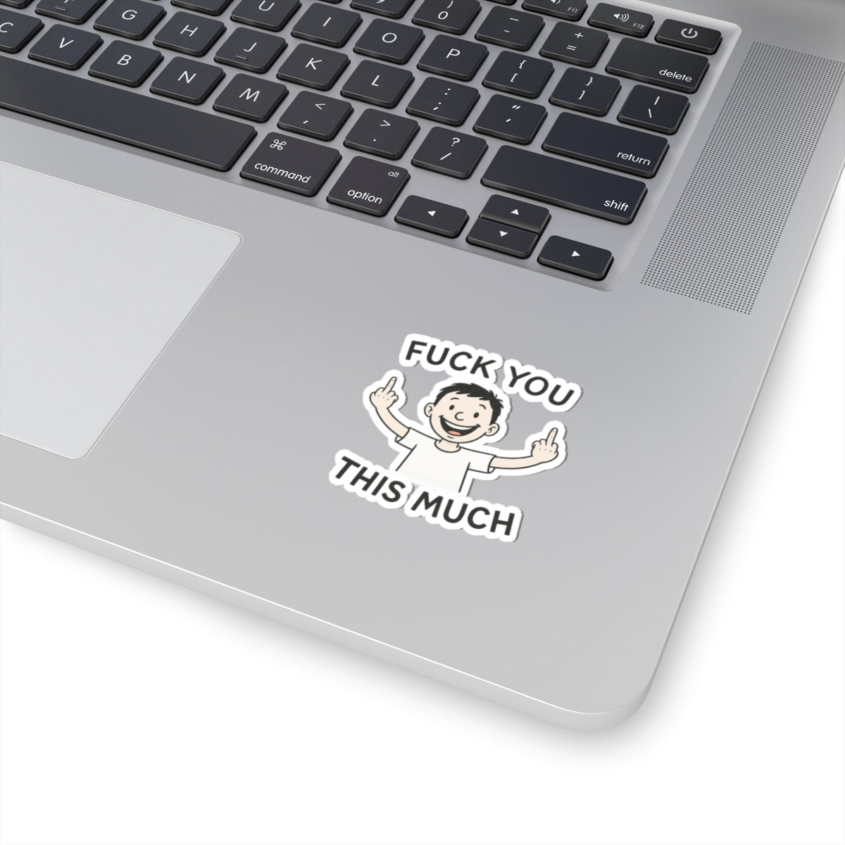 Funny Humor Kiss-Cut Stickers, Sarcastic Laptop Decor, 'Fuck You This Much' Sticker, Gift for Friends, Party Favors, Quirky Stickers, [...]