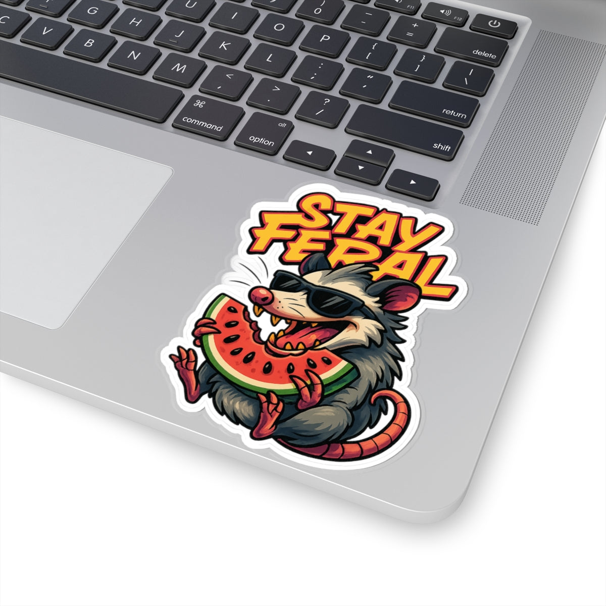 Stay Feral Possum Watermelon Sticker – Funny Summer Kiss Cut Sticker