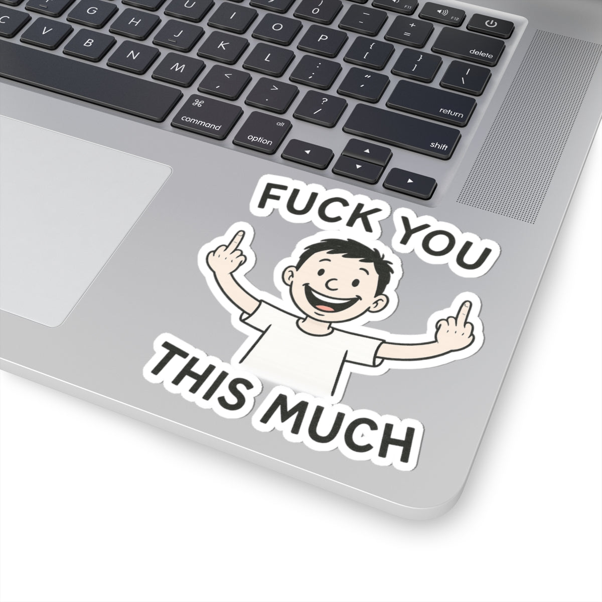 Funny Humor Kiss-Cut Stickers, Sarcastic Laptop Decor, 'Fuck You This Much' Sticker, Gift for Friends, Party Favors, Quirky Stickers, [...]