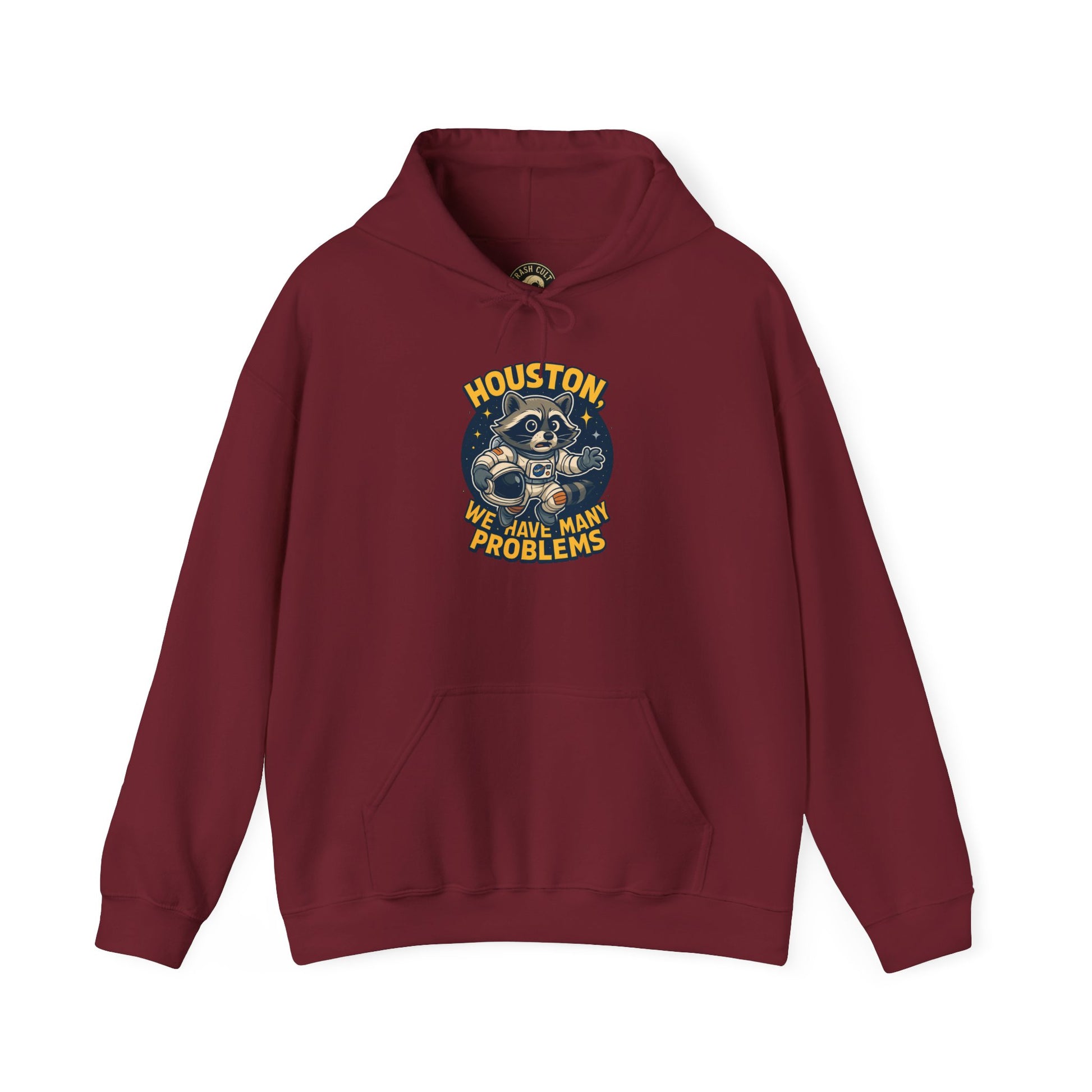 Houston Problems Hoodie, Unisex Sweatshirt, Space Lover Gift, Cozy Hoodie for Stargazing, Funny Sweatshirt for Astronaut Fans