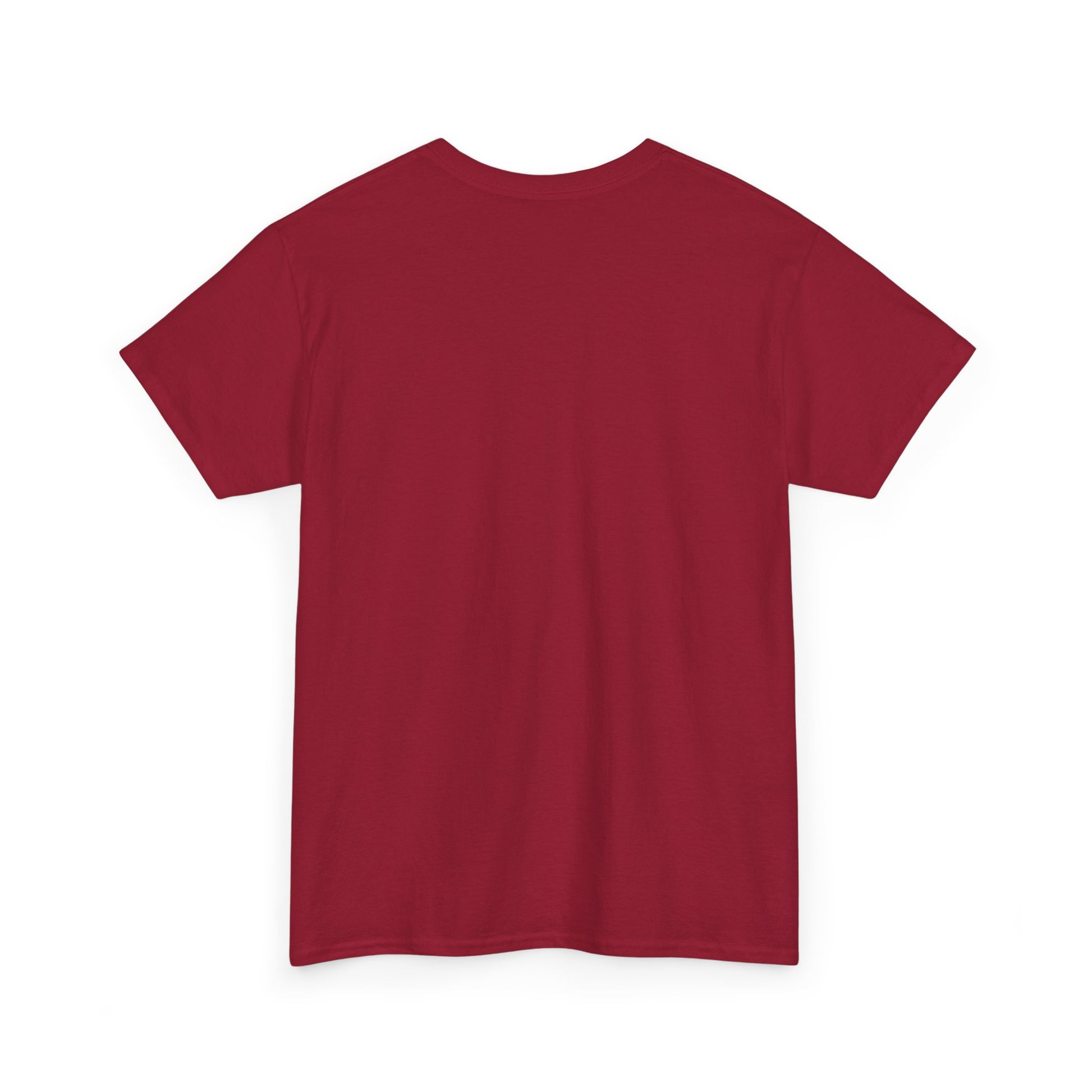 Pride “E for Everyone” T-Shirt – LGBTQ+ Inclusivity Graphic | Gildan 5000