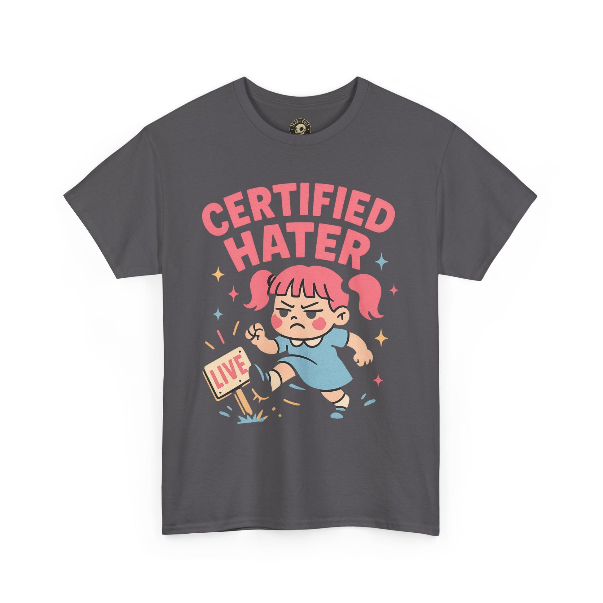 Certified Hater Unisex Heavy Cotton Tee, Funny Graphic T-Shirt, Casual Wear, Gift for Friends, Birthday Gift, Unique Humor Tee