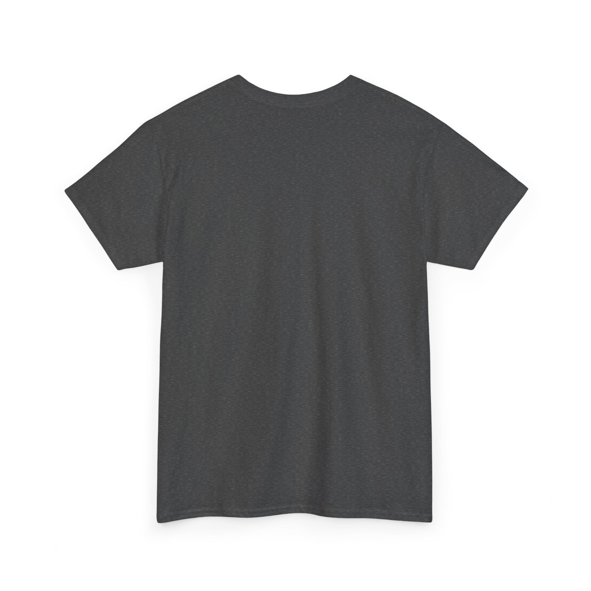 Cancel This, Karen! Raccoon T-Shirt – Loud New School Protest Graphic Tee | Gildan 5000 Cotton Shirt
