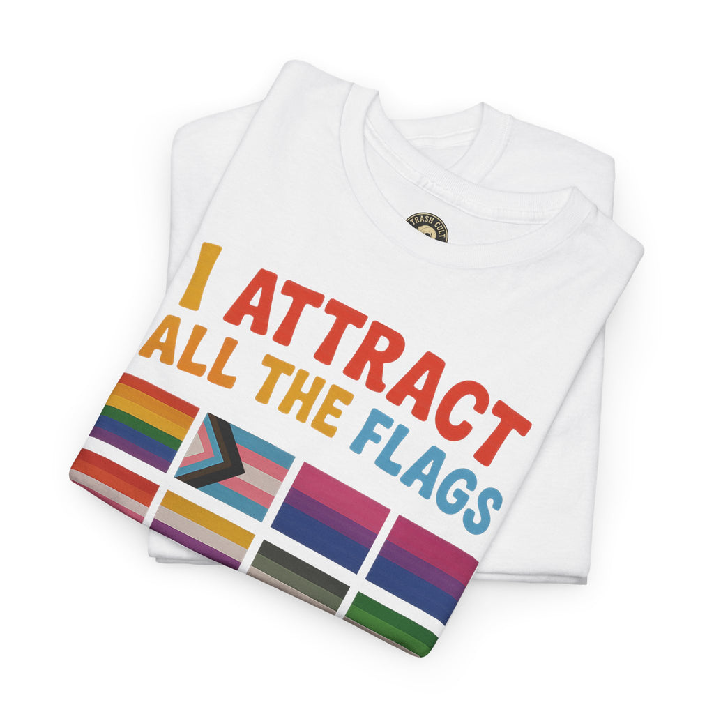 I Attract All The Flags LGBTQ Pride T-Shirt – Funny Inclusivity Shirt – Gildan 5000