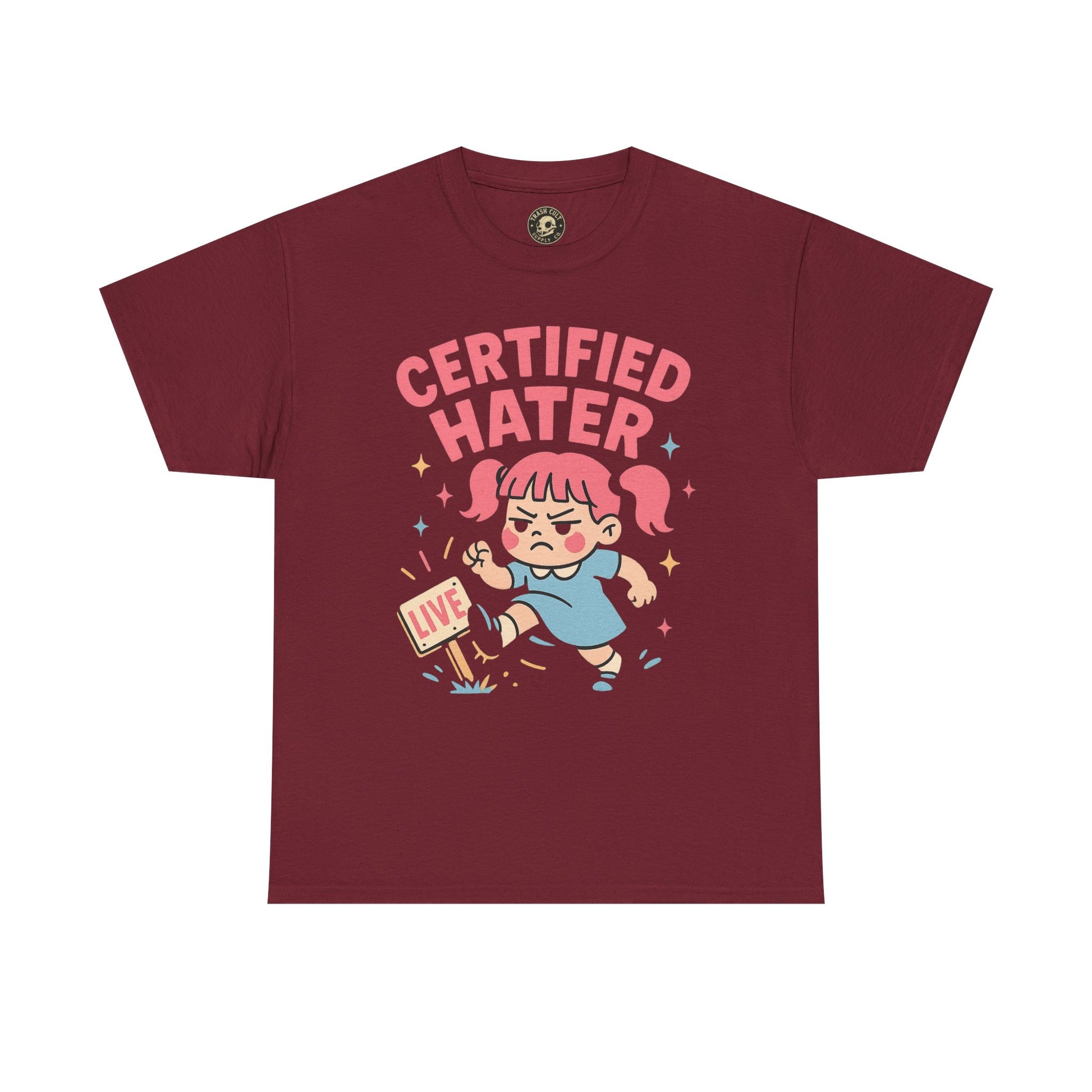 Certified Hater Unisex Heavy Cotton Tee, Funny Graphic T-Shirt, Casual Wear, Gift for Friends, Birthday Gift, Unique Humor Tee
