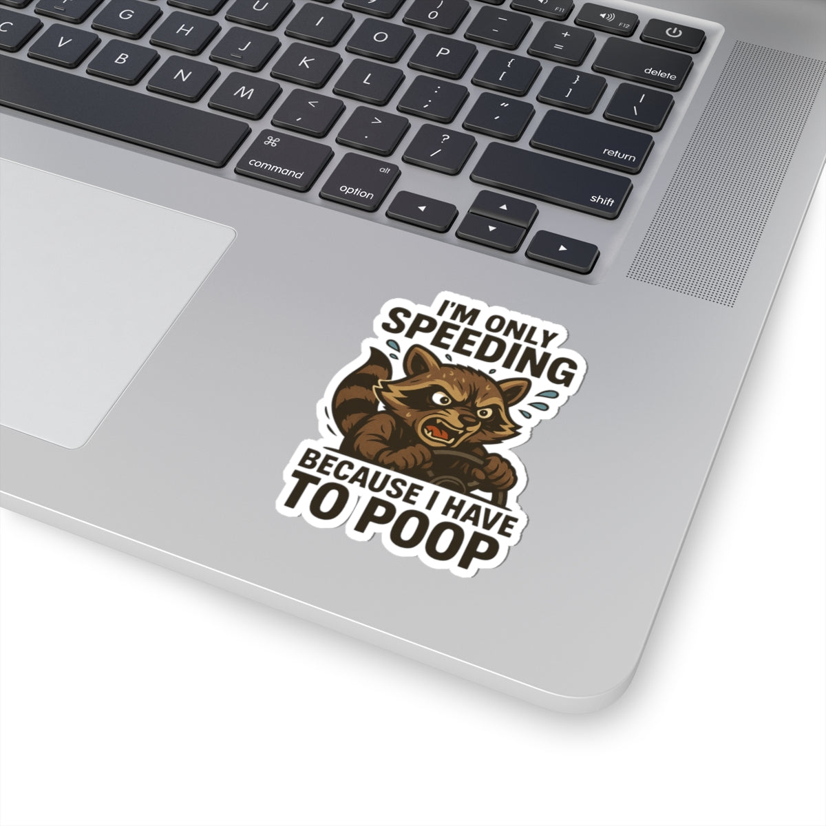 Funny Raccoon Kiss-Cut Stickers, Humor Stickers, Laptop Decor, Gifts for Friends, Car Stickers, Quirky Wall Art