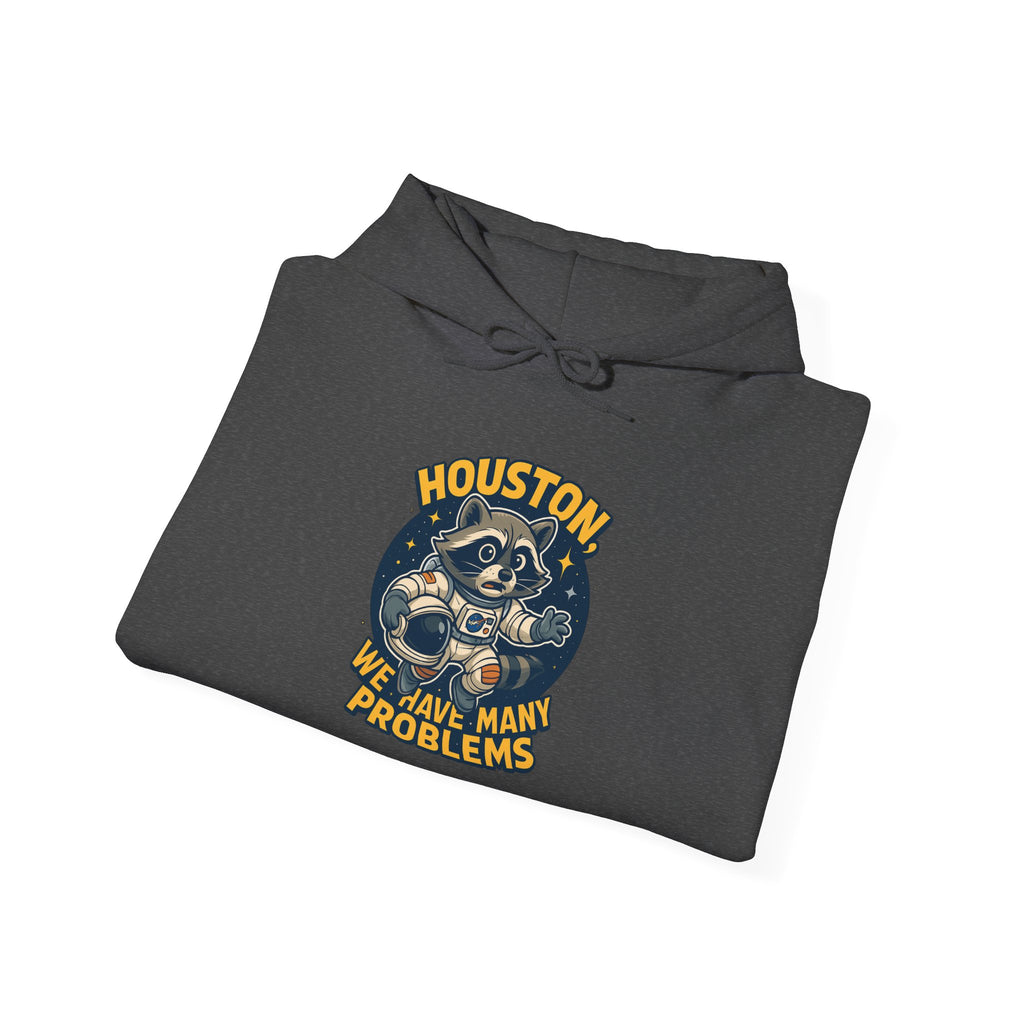 Houston Problems Hoodie, Unisex Sweatshirt, Space Lover Gift, Cozy Hoodie for Stargazing, Funny Sweatshirt for Astronaut Fans