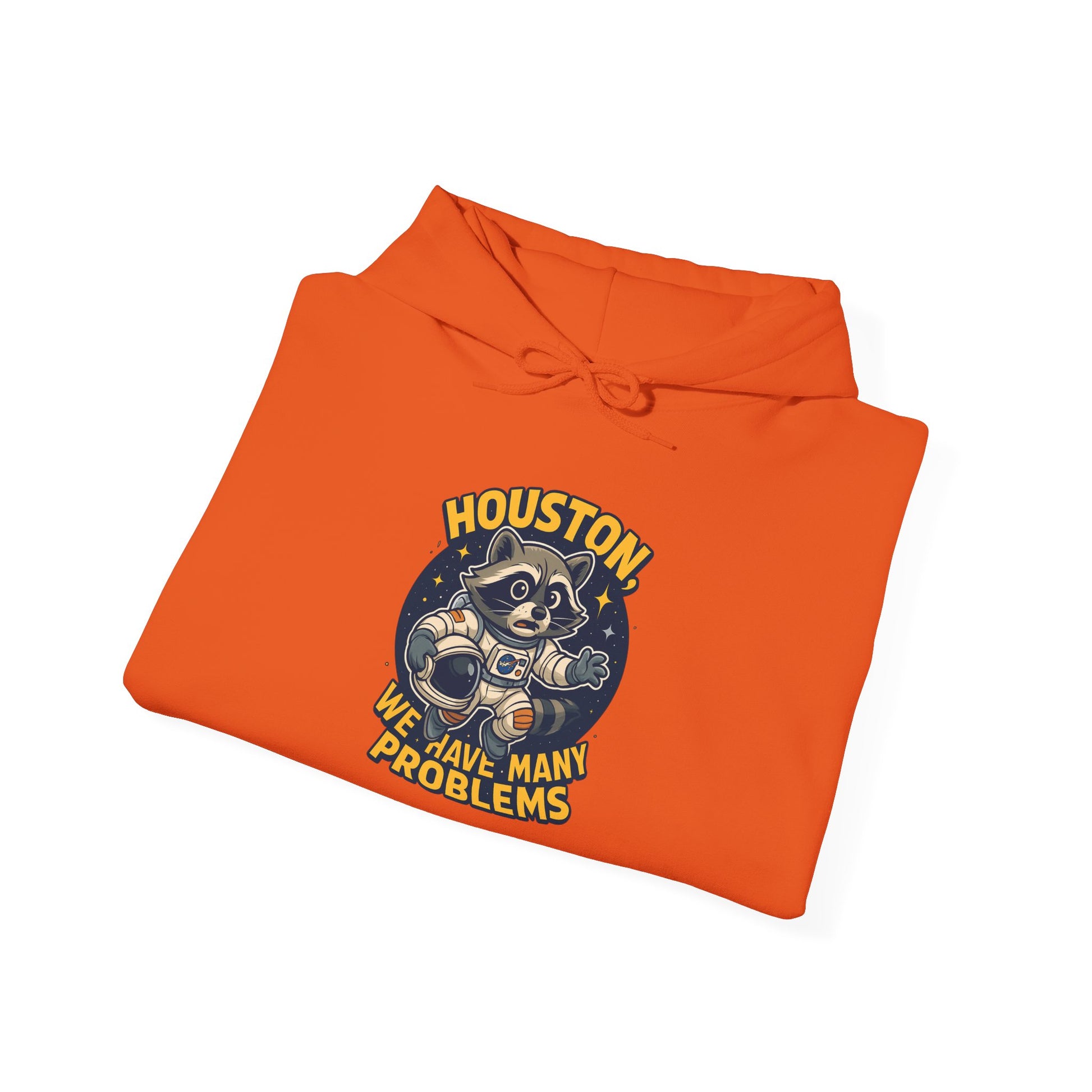 Houston Problems Hoodie, Unisex Sweatshirt, Space Lover Gift, Cozy Hoodie for Stargazing, Funny Sweatshirt for Astronaut Fans