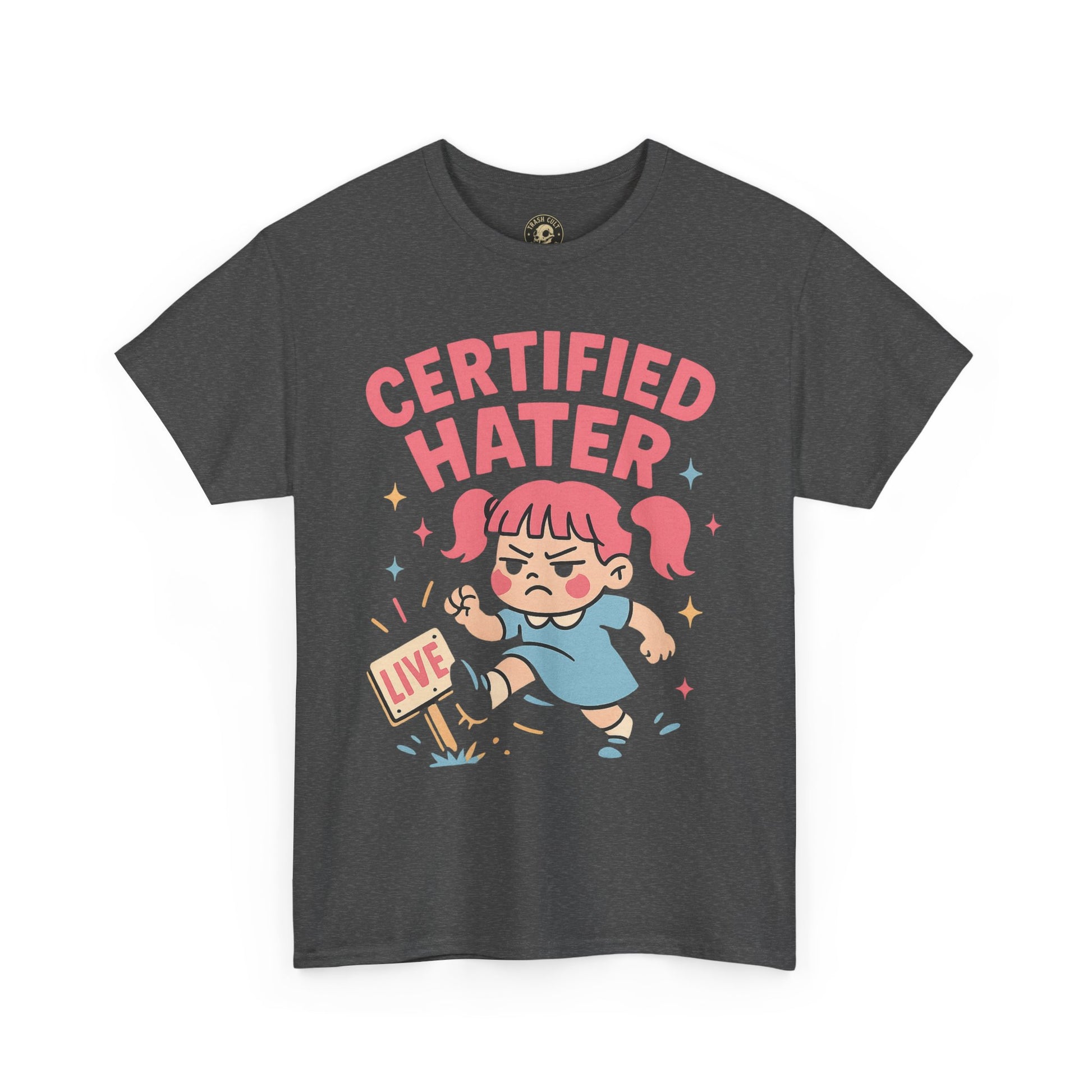 Certified Hater Unisex Heavy Cotton Tee, Funny Graphic T-Shirt, Casual Wear, Gift for Friends, Birthday Gift, Unique Humor Tee