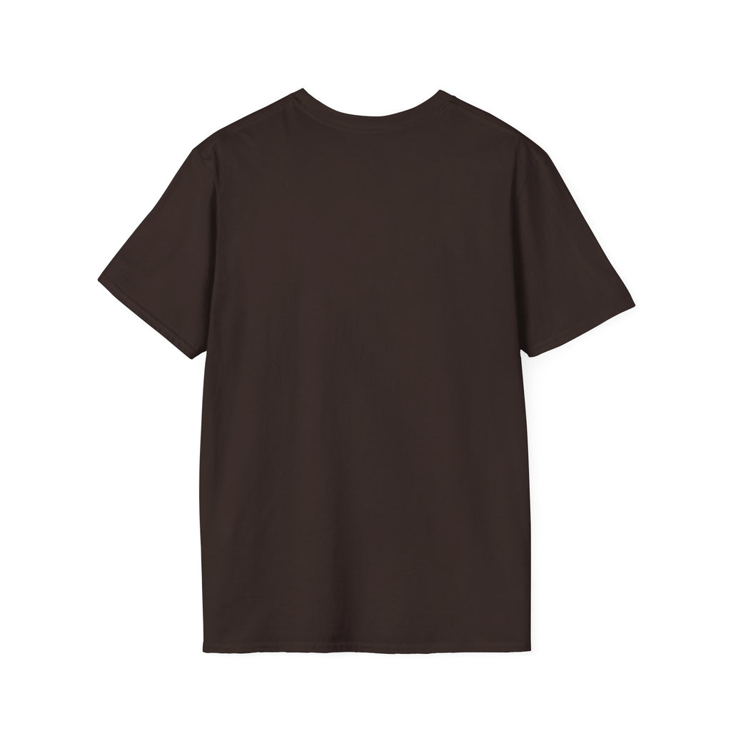 T-Shirt — "Stay Weird" Pride Raccoon Tee (Stay Queer)