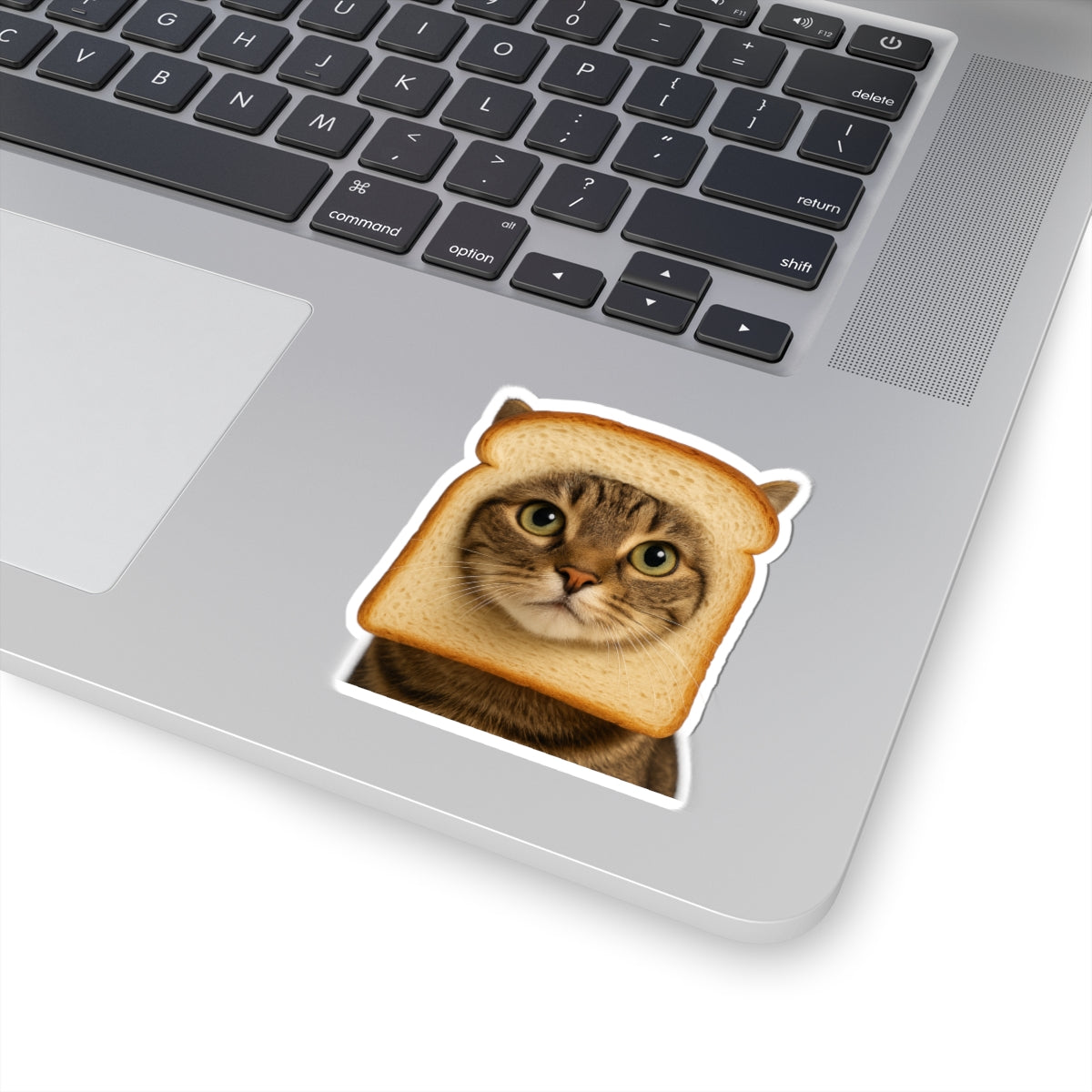 In Bread Cat Kiss Cut Sticker – Funny Realistic Cat Meme – Bread Face Kitty Decal