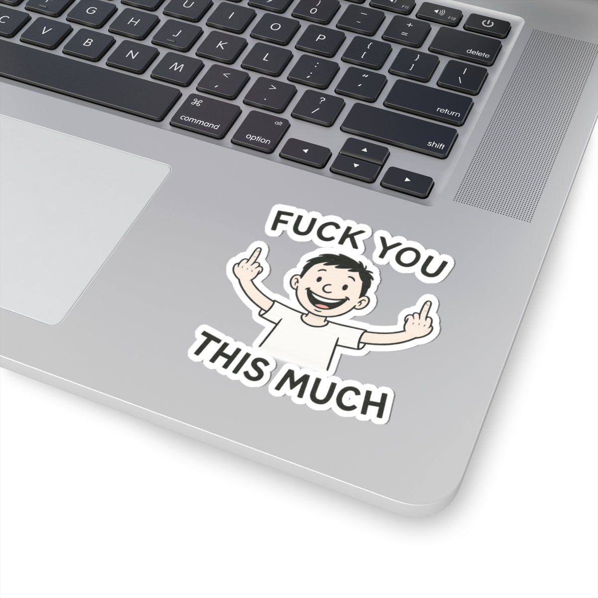 Funny Humor Kiss-Cut Stickers, Sarcastic Laptop Decor, 'Fuck You This Much' Sticker, Gift for Friends, Party Favors, Quirky Stickers, [...]